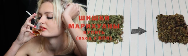 гидра Баксан