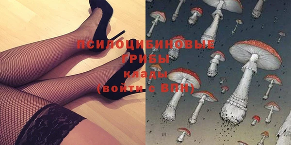 гидра Баксан