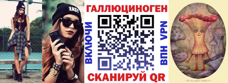 Галлюциногенные грибы Psilocybine cubensis  Барыш 